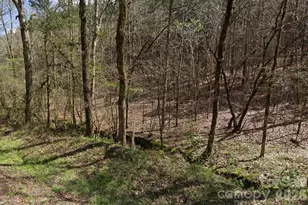 0 Morton Rd, Polkton, NC 28135 - Photo 1