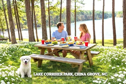 Lot 213 Swink Avenue, Salisbury, NC 28147 - Photo 12