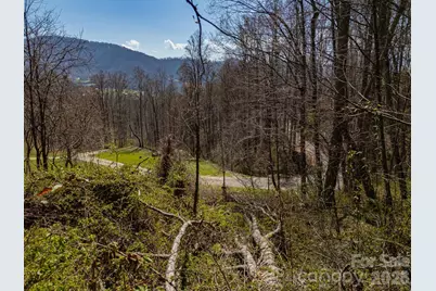 Tbd Dads Retreat Trail, Canton, NC 28716 - Photo 16