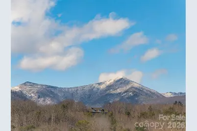 2F Lynx Drive, Black Mountain, NC 28711 - Photo 38