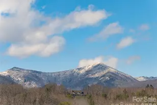 2F Lynx Dr, Black Mountain, NC 28711 - Photo 38