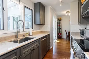 2F Lynx Dr, Black Mountain, NC 28711 - Photo 20