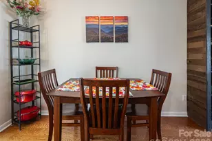 2F Lynx Dr, Black Mountain, NC 28711 - Photo 12