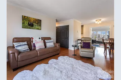 2F Lynx Drive, Black Mountain, NC 28711 - Photo 12