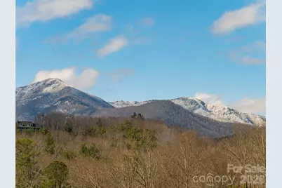 2F Lynx Drive, Black Mountain, NC 28711 - Photo 6