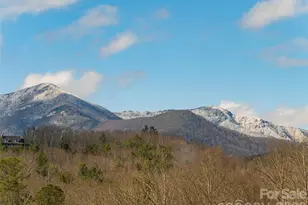 2F Lynx Dr, Black Mountain, NC 28711 - Photo 6
