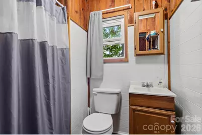 264 Rebel Drive, Hot Springs, NC 28743 - Photo 6