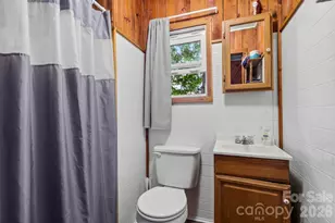 264 Rebel Dr, Hot Springs, NC 28743 - Photo 6