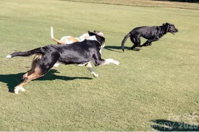 36 Timberidge Drive, Lake Wylie, SC 29710 - Photo 46