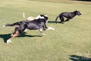 36 Timberidge Dr, Lake Wylie, SC 29710 - Photo 46