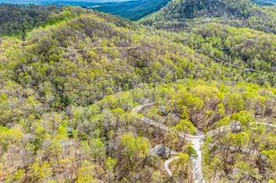 780 Rixhaven Dr, Saluda, NC 28773 - Photo 36