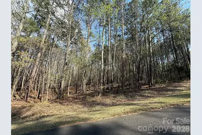 Tbd E Goldmine Road, Wadesboro, NC 28170 - Photo 6