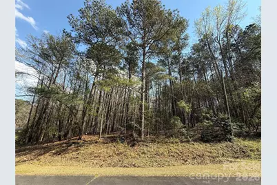 Tbd E Goldmine Road, Wadesboro, NC 28170 - Photo 2