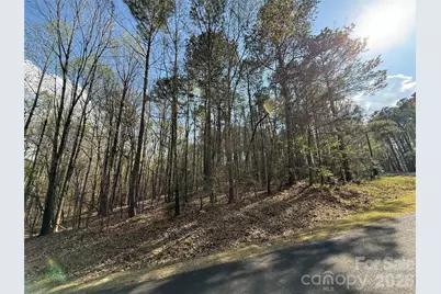 Tbd E Goldmine Road, Wadesboro, NC 28170 - Photo 4