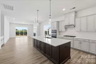 1043 Pinecone Ave, Indian Land, SC 29707 - Photo 4