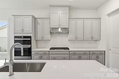 1043 Pinecone Avenue, Indian Land, SC 29707 - Photo 10