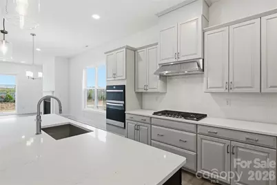 1043 Pinecone Avenue, Indian Land, SC 29707 - Photo 6