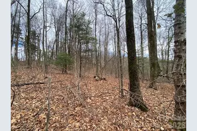 395 W Chestnut Ridges Road #14, Hendersonville, NC 28739 - Photo 1