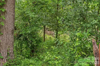 611 Turkey Creek Terrace, Leicester, NC 28748 - Photo 12