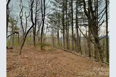 Tbd Mantera Ridge, Sugar Grove, NC 28679 - Photo 6