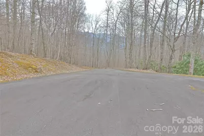 Tbd Chardonnay Court #1, Newland, NC 28657 - Photo 2