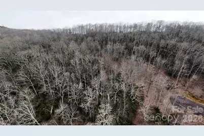 Tbd Chardonnay Court #1, Newland, NC 28657 - Photo 8