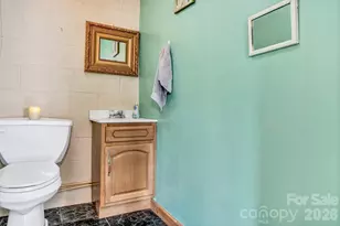 251 Reid St, Marion, NC 28752 - Photo 28