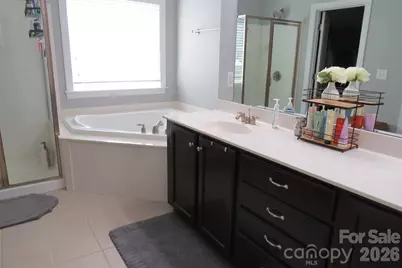 8500 Willow Branch Drive, Waxhaw, NC 28173 - Photo 38