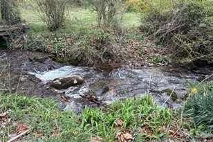 28 Red Brg Ln, Sylva, NC 28779 - Photo 8