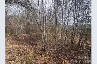 00 Billings Hill Church Road #56, Traphill, NC 28685 - Photo 2