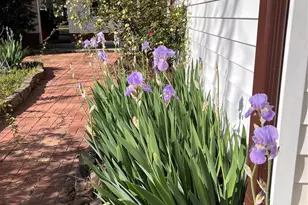 635 E Sanders Rd, Shelby, NC 28150 - Photo 44