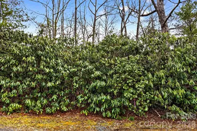 Tbd Red Bird Road, Spruce Pine, NC 28777 - Photo 6