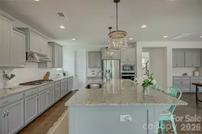 17204 Saranita Lane, Charlotte, NC 28278 - Photo 10