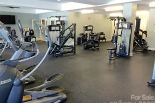 17204 Saranita Ln, Charlotte, NC 28278 - Photo 48