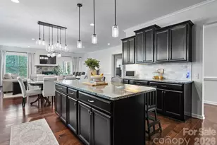 18812 Avery Park Dr, Cornelius, NC 28031 - Photo 2