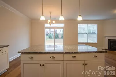 3042 Burnello Court, Iron Station, NC 28080 - Photo 14