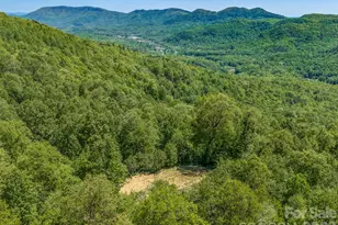 488 Warbler Ln, Black Mountain, NC 28711 - Photo 16