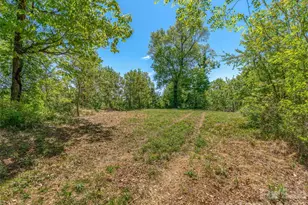 488 Warbler Ln, Black Mountain, NC 28711 - Photo 14