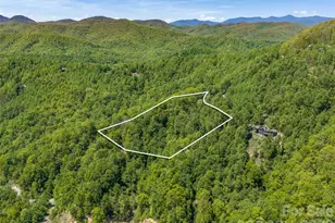 488 Warbler Ln, Black Mountain, NC 28711 - Photo 2