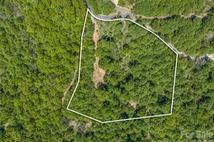 488 Warbler Ln, Black Mountain, NC 28711 - Photo 18