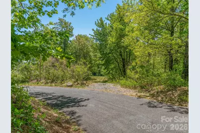 488 Warbler Lane, Black Mountain, NC 28711 - Photo 6