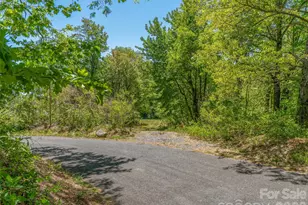 488 Warbler Ln, Black Mountain, NC 28711 - Photo 6