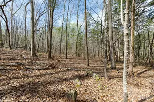 1108 King Rd, York, SC 29745 - Photo 38