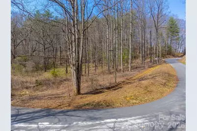 47.52 Ac Little Snowbird Road, Robbinsville, NC 28771 - Photo 4