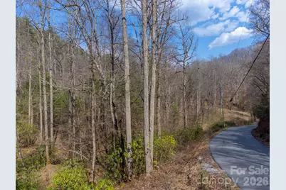 47.52 Ac Little Snowbird Road, Robbinsville, NC 28771 - Photo 10