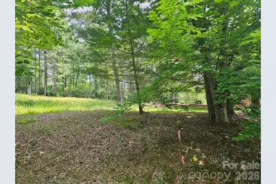 A3 Allison Creek Trail #A3, Brevard, NC 28712 - Photo 2