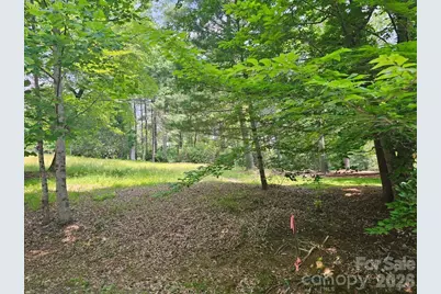 A3 Allison Creek Trail #A3, Brevard, NC 28712 - Photo 1