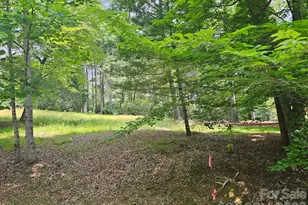 A3 Allison Creek Trail, Brevard, NC 28712 - Photo 1