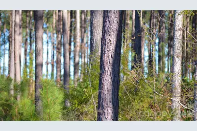 00 Bobby Faucette Road #4, Jonesville, SC 29353 - Photo 8