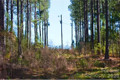 00 Bobby Faucette Road #4, Jonesville, SC 29353 - Photo 12